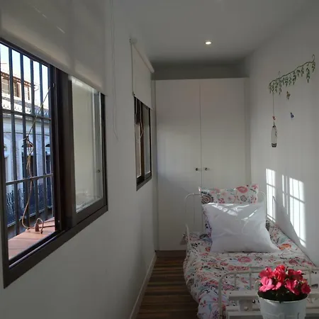 Terrazas De La Catedral Atico Wifi * Granada